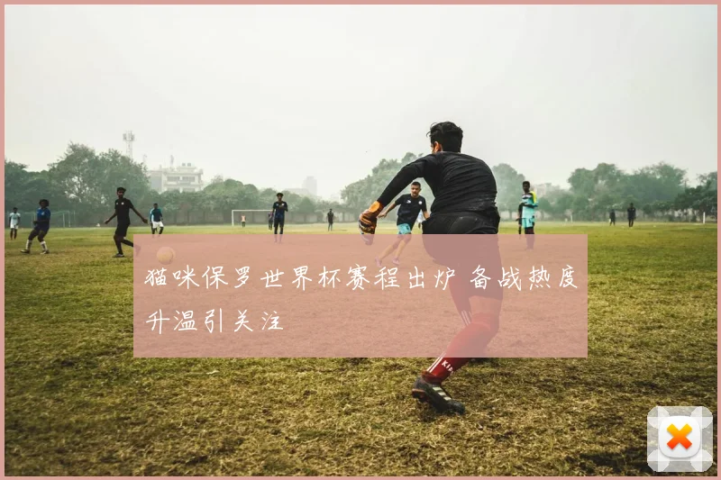 猫咪保罗世界杯赛程出炉 备战热度升温引关注