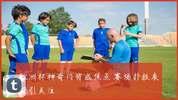 欧洲杯神奇门将成焦点 赛场扑救表现引关注
