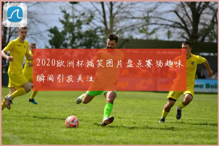 2020欧洲杯搞笑图片盘点赛场趣味瞬间引发关注
