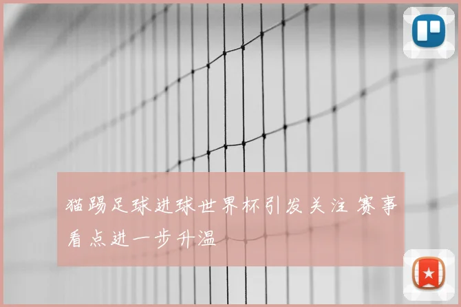 猫踢足球进球世界杯引发关注 赛事看点进一步升温