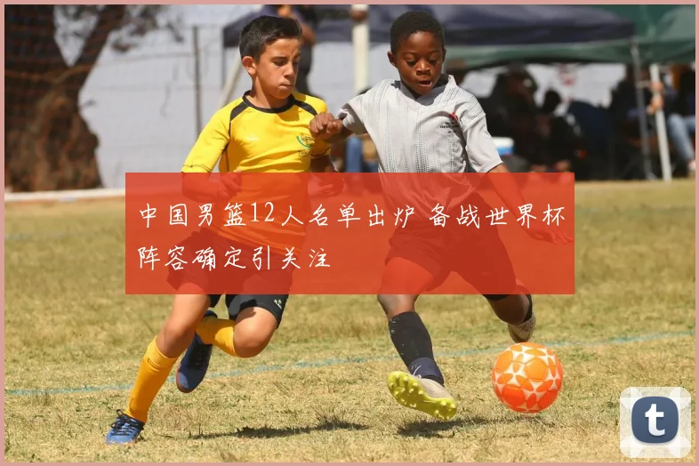 中国男篮12人名单出炉 备战世界杯阵容确定引关注