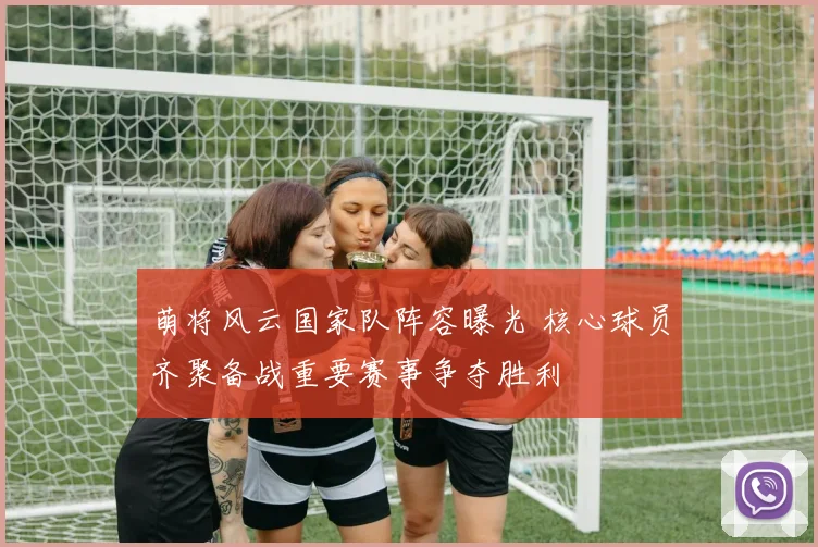 萌将风云国家队阵容曝光 核心球员齐聚备战重要赛事争夺胜利